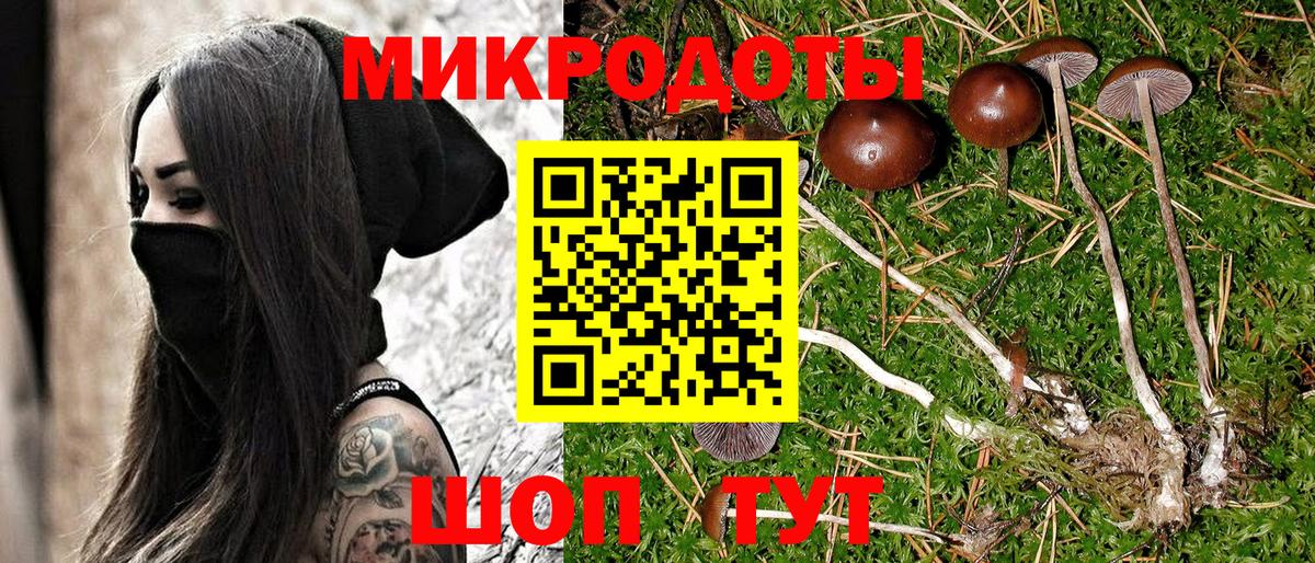 Верхняя Пышма  Псилоцибиновые грибы GOLDEN TEACHER  Вход с VPN 