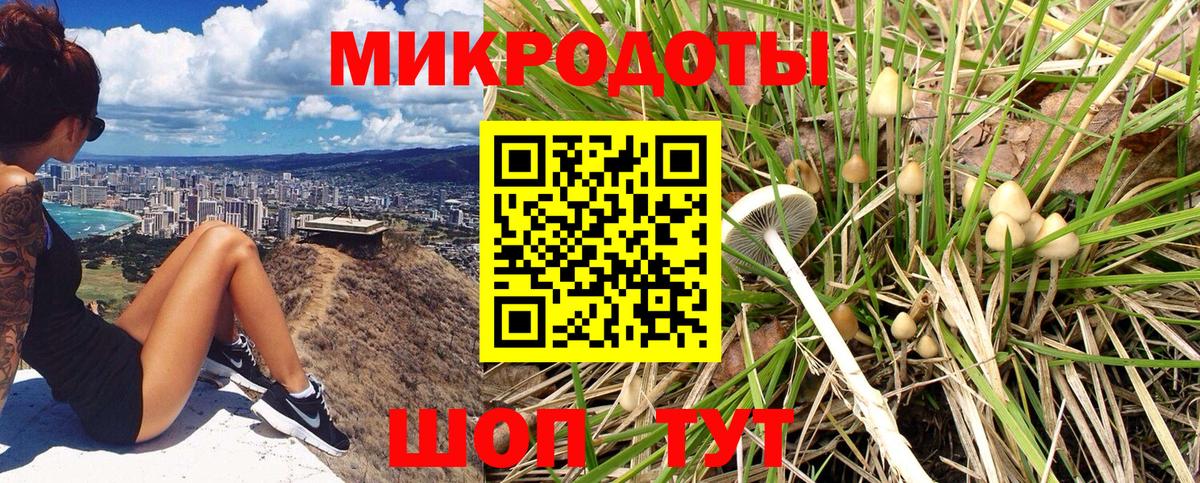 Галлюциногенные грибы Magic Shrooms Верхняя Пышма