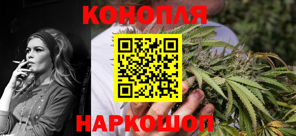 Конопля конопля  Вход с VPN  Верхняя Пышма  Канабис сатива  Канабис Bruce Banner 
